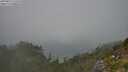 ./images/calvert/foggy-cove/20250829/foggy-cove20250829_125010M.jpg