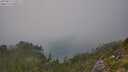 ./images/calvert/foggy-cove/20250829/foggy-cove20250829_142007M.jpg