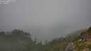 ./images/calvert/foggy-cove/20250829/foggy-cove20250829_142509M.jpg
