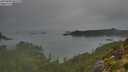 ./images/calvert/foggy-cove/20250830/foggy-cove20250830_065510M.jpg