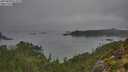 ./images/calvert/foggy-cove/20250830/foggy-cove20250830_071009M.jpg