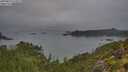 ./images/calvert/foggy-cove/20250830/foggy-cove20250830_075009M.jpg