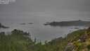 ./images/calvert/foggy-cove/20250830/foggy-cove20250830_092011M.jpg