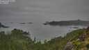 ./images/calvert/foggy-cove/20250830/foggy-cove20250830_093507M.jpg