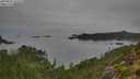 ./images/calvert/foggy-cove/20250830/foggy-cove20250830_101010M.jpg