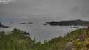 ./images/calvert/foggy-cove/20250830/foggy-cove20250830_103011M.jpg