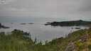 ./images/calvert/foggy-cove/20250830/foggy-cove20250830_111510M.jpg