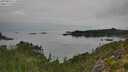 ./images/calvert/foggy-cove/20250830/foggy-cove20250830_112011M.jpg