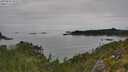 ./images/calvert/foggy-cove/20250830/foggy-cove20250830_143509M.jpg