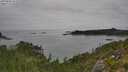 ./images/calvert/foggy-cove/20250830/foggy-cove20250830_154510M.jpg