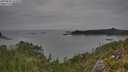 ./images/calvert/foggy-cove/20250830/foggy-cove20250830_161010M.jpg