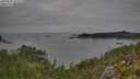 ./images/calvert/foggy-cove/20250830/foggy-cove20250830_161508M.jpg