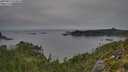 ./images/calvert/foggy-cove/20250831/foggy-cove20250831_074010M.jpg