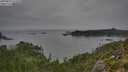 ./images/calvert/foggy-cove/20250831/foggy-cove20250831_075011M.jpg