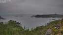 ./images/calvert/foggy-cove/20250831/foggy-cove20250831_082011M.jpg