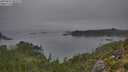 ./images/calvert/foggy-cove/20250831/foggy-cove20250831_084509M.jpg