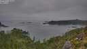./images/calvert/foggy-cove/20250831/foggy-cove20250831_085010M.jpg