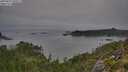 ./images/calvert/foggy-cove/20250831/foggy-cove20250831_090507M.jpg