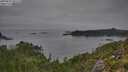 ./images/calvert/foggy-cove/20250831/foggy-cove20250831_091510M.jpg
