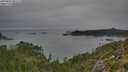 ./images/calvert/foggy-cove/20250831/foggy-cove20250831_095508M.jpg