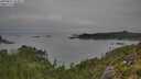 ./images/calvert/foggy-cove/20250831/foggy-cove20250831_103011M.jpg