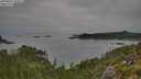./images/calvert/foggy-cove/20250831/foggy-cove20250831_105011M.jpg