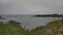 ./images/calvert/foggy-cove/20250901/foggy-cove20250901_110507M.jpg