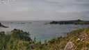 ./images/calvert/foggy-cove/20250901/foggy-cove20250901_154511M.jpg