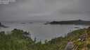 ./images/calvert/foggy-cove/20250902/foggy-cove20250902_094509M.jpg