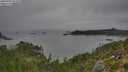 ./images/calvert/foggy-cove/20250902/foggy-cove20250902_095010M.jpg