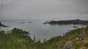 ./images/calvert/foggy-cove/20250902/foggy-cove20250902_110510M.jpg