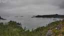 ./images/calvert/foggy-cove/20250902/foggy-cove20250902_115509M.jpg