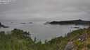 ./images/calvert/foggy-cove/20250902/foggy-cove20250902_122008M.jpg