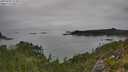 ./images/calvert/foggy-cove/20250902/foggy-cove20250902_123011M.jpg