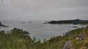 ./images/calvert/foggy-cove/20250902/foggy-cove20250902_135011M.jpg
