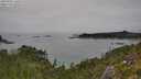./images/calvert/foggy-cove/20250902/foggy-cove20250902_140509M.jpg