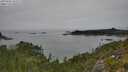 ./images/calvert/foggy-cove/20250902/foggy-cove20250902_142509M.jpg