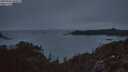 ./images/calvert/foggy-cove/20250902/foggy-cove20250902_204507M.jpg