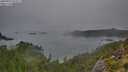 ./images/calvert/foggy-cove/20250903/foggy-cove20250903_072507M.jpg