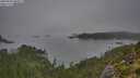 ./images/calvert/foggy-cove/20250903/foggy-cove20250903_090509M.jpg
