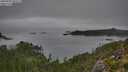 ./images/calvert/foggy-cove/20250903/foggy-cove20250903_101512M.jpg