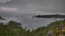 ./images/calvert/foggy-cove/20250903/foggy-cove20250903_102508M.jpg