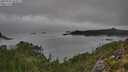 ./images/calvert/foggy-cove/20250903/foggy-cove20250903_103011M.jpg