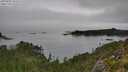 ./images/calvert/foggy-cove/20250903/foggy-cove20250903_105508M.jpg