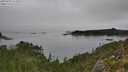 ./images/calvert/foggy-cove/20250903/foggy-cove20250903_111010M.jpg