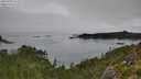 ./images/calvert/foggy-cove/20250903/foggy-cove20250903_111511M.jpg