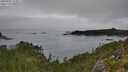 ./images/calvert/foggy-cove/20250903/foggy-cove20250903_112007M.jpg