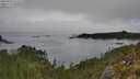 ./images/calvert/foggy-cove/20250903/foggy-cove20250903_112510M.jpg