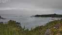 ./images/calvert/foggy-cove/20250903/foggy-cove20250903_114010M.jpg