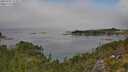 ./images/calvert/foggy-cove/20250903/foggy-cove20250903_124511M.jpg